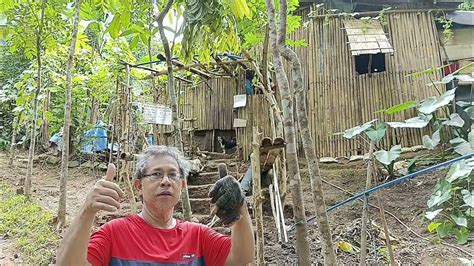 iniyot sa kubo|'iniyot sa kubo' Search .